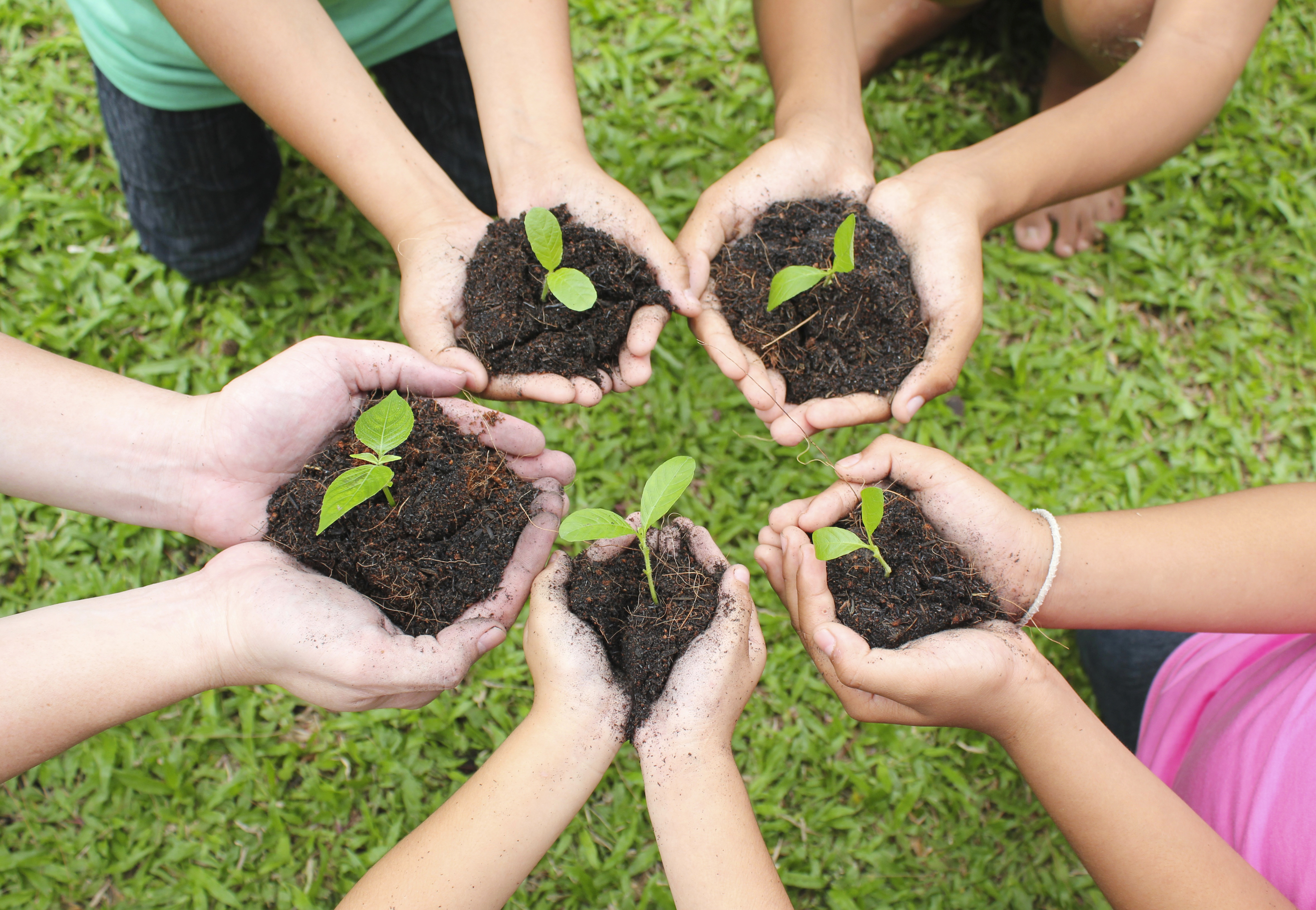 Заботящаяся почва. Посадка растений. Дети сажают растения. Чистая почва. Почва в руках.